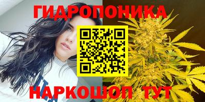 дурь Краснознаменск