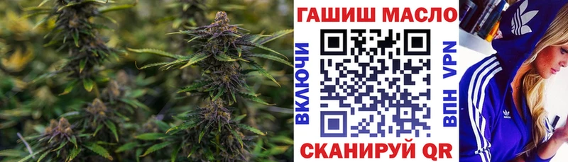 ТГК THC oil  ОМГ ОМГ ТОР  Кольчугино 
