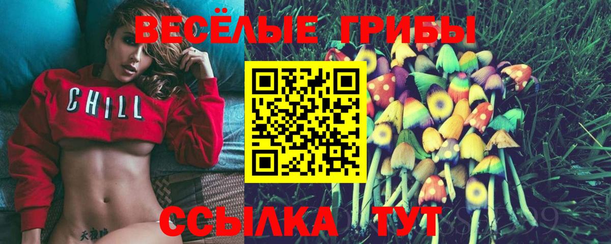 Псилоцибиновые грибы ЛСД  Вход с VPN  Галлюциногенные грибы Cubensis  Кольчугино 